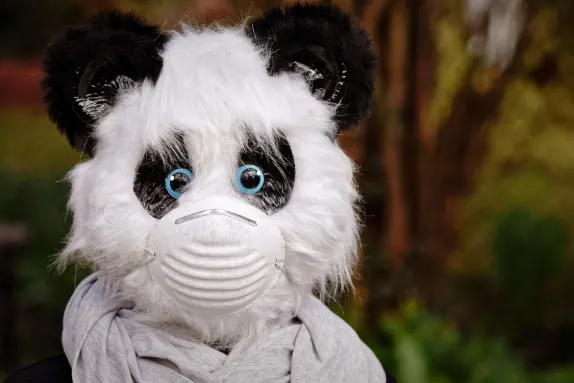 Casino Mars Bet Ondersteuning